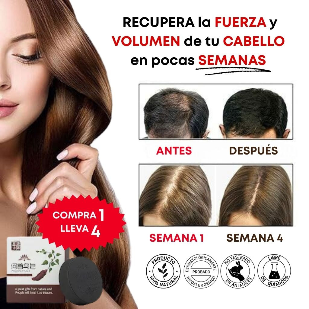 Compras 1 Llevas 4 | Jabón Polygonum EL ORIGINAL | CABELLO MÁS ABUNDANTE EN POCAS SEMANAS