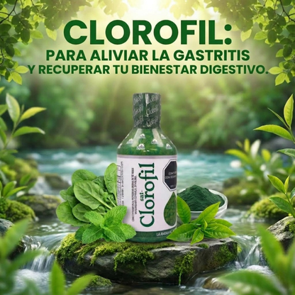 Clorofila Liquida CLOROFIL® (360 ML)  — Formula natural que Alivia la Gastritis en 5 Semanas