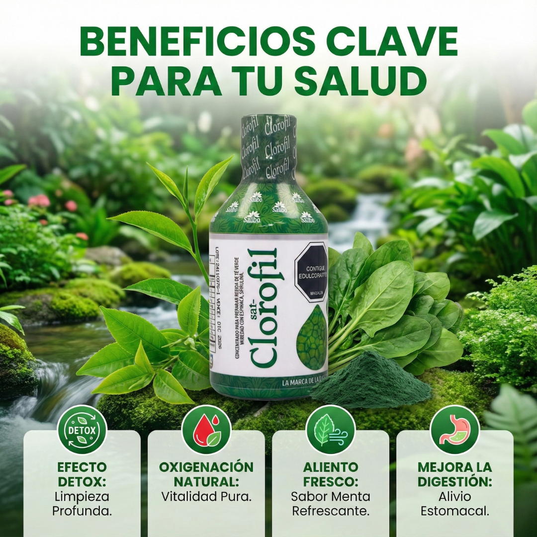 Clorofila Liquida CLOROFIL® (360 ML)  — Formula natural que Alivia la Gastritis en 5 Semanas